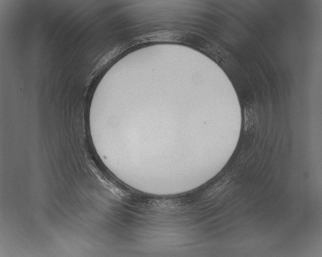 X0000060270349200511241500