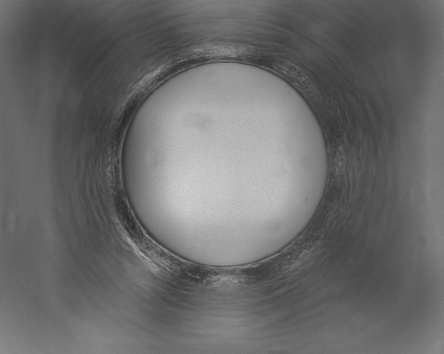 X0000060270352200511241500