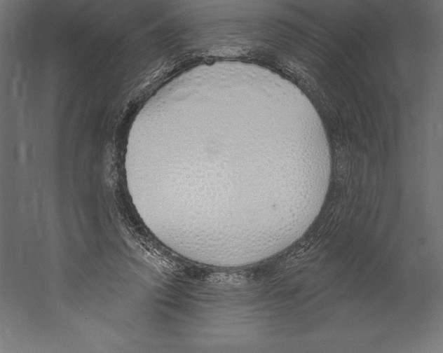 X0000060270354200511241500