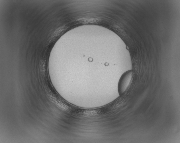 X0000060270357200511241500