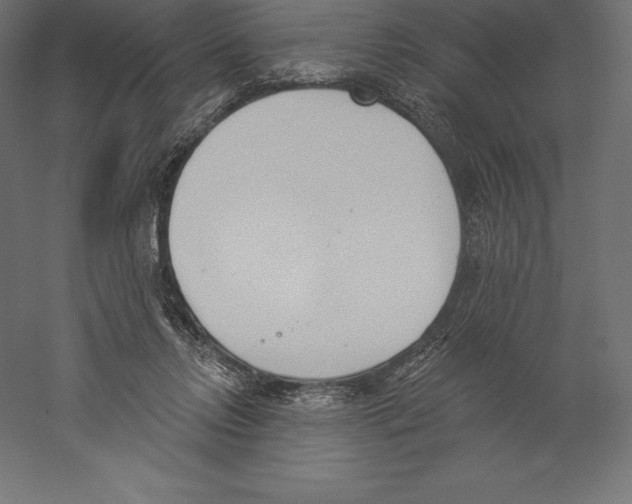 X0000060270358200511241500