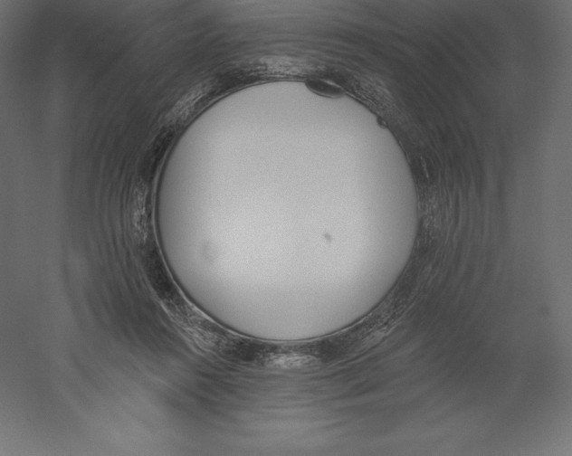 X0000060270360200511241500