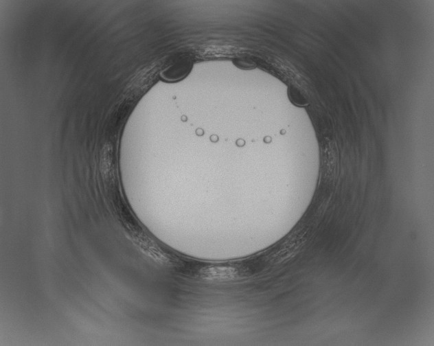 X0000060270361200511241500