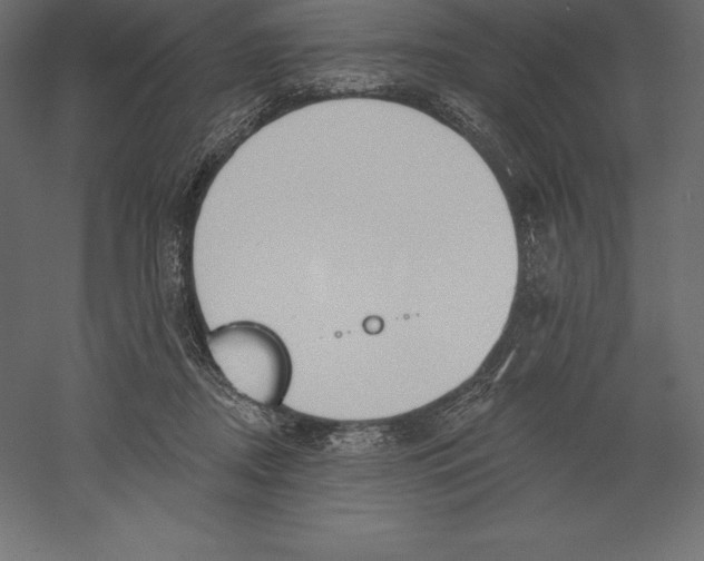 X0000060270362200511241500