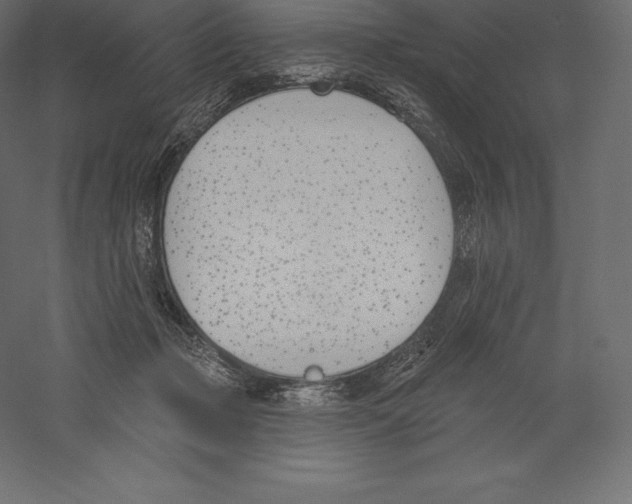 X0000060270365200511241501