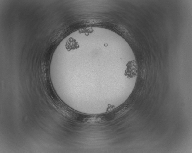 X0000060270366200511241501