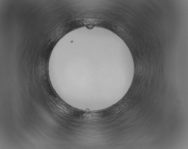 X0000060270367200511241501