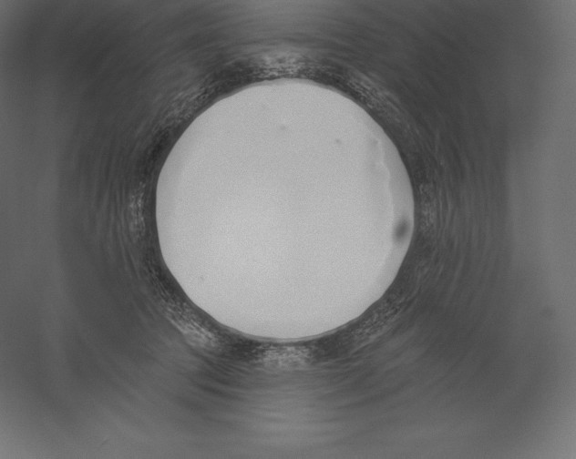 X0000060270369200511241501