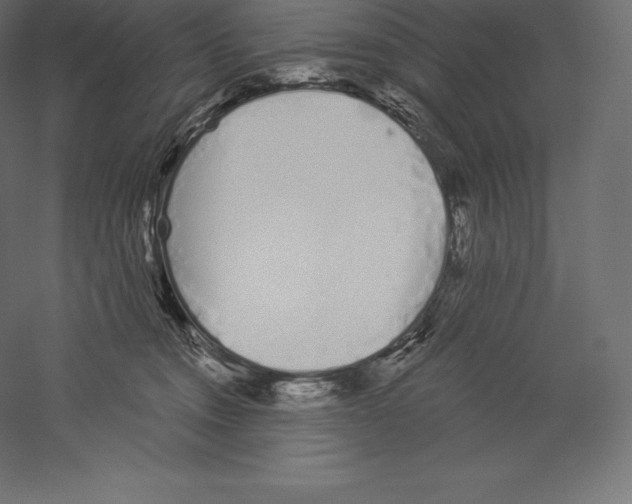 X0000060270372200511241501