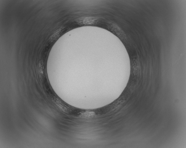 X0000060270374200511241501