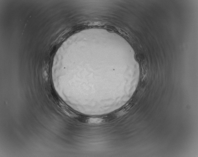 X0000060270376200511241501