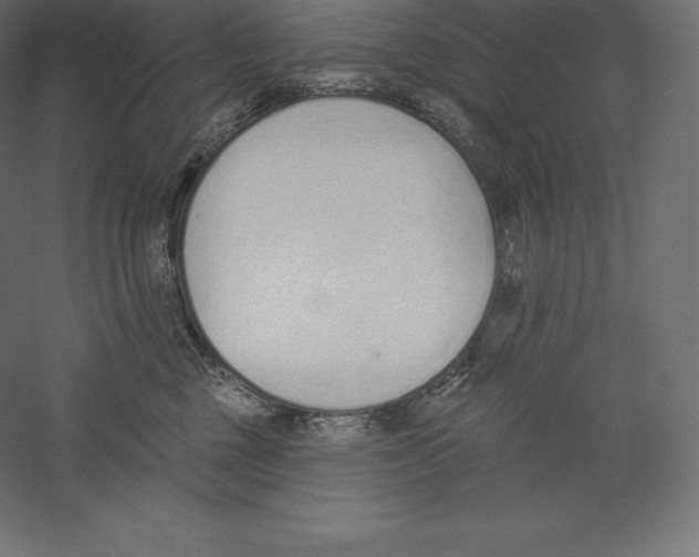 X0000060270377200511241501