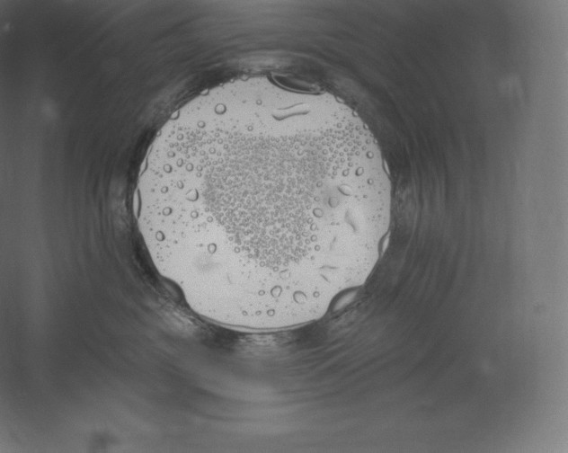 X0000060270381200511241501