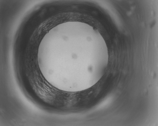 X0000060270383200511241501