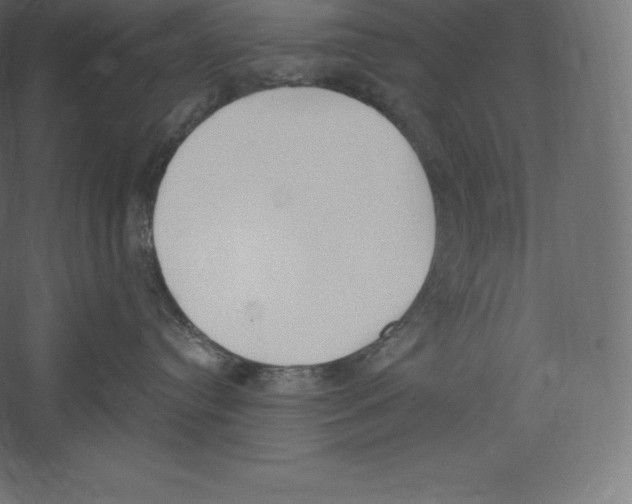 X0000060270384200511241501