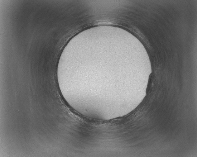 X0000060270385200511241500