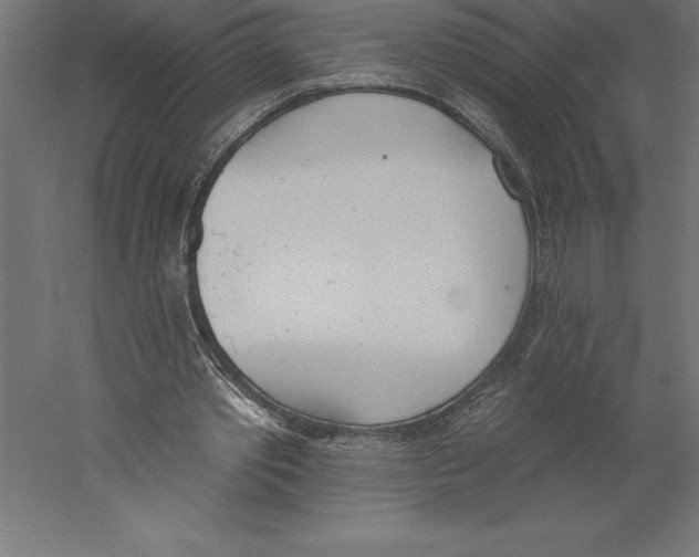 X0000060270389200511241500