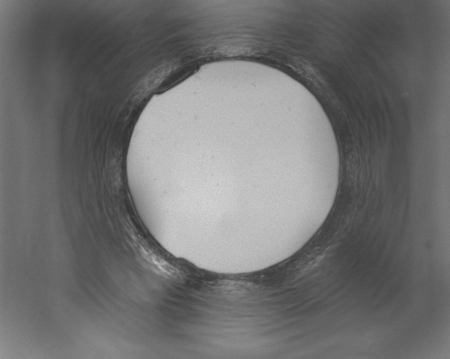 X0000060270393200511241500