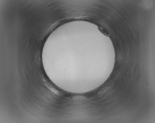 X0000060270397200511241500