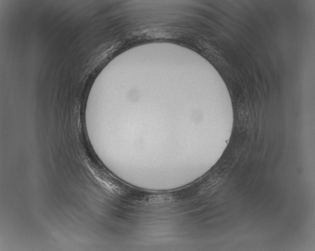 X0000060270398200511241500