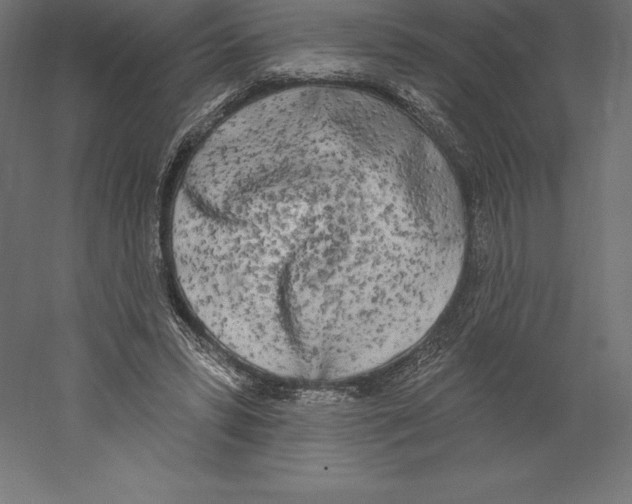 X0000060270399200511241500