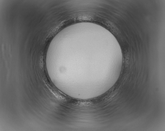 X0000060270401200511241500