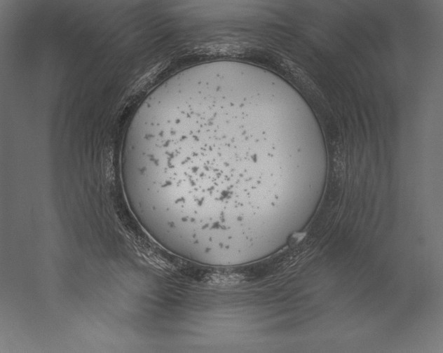 X0000060270403200511241500