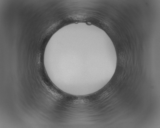 X0000060270404200511241500