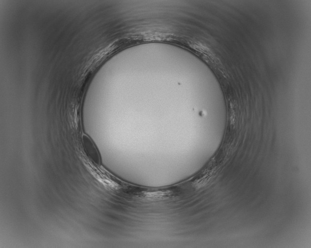 X0000060270405200511241500