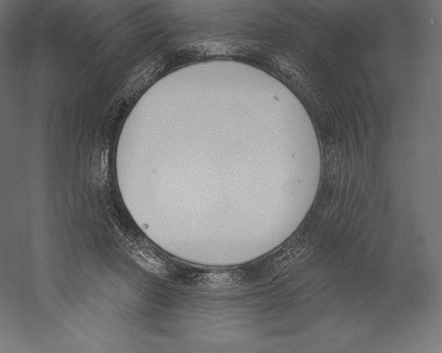 X0000060270406200511241500