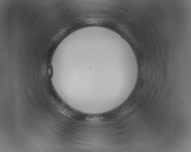 X0000060270407200511241500