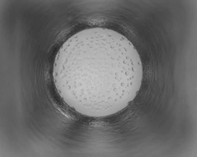 X0000060270408200511241500