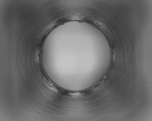 X0000060270409200511241500