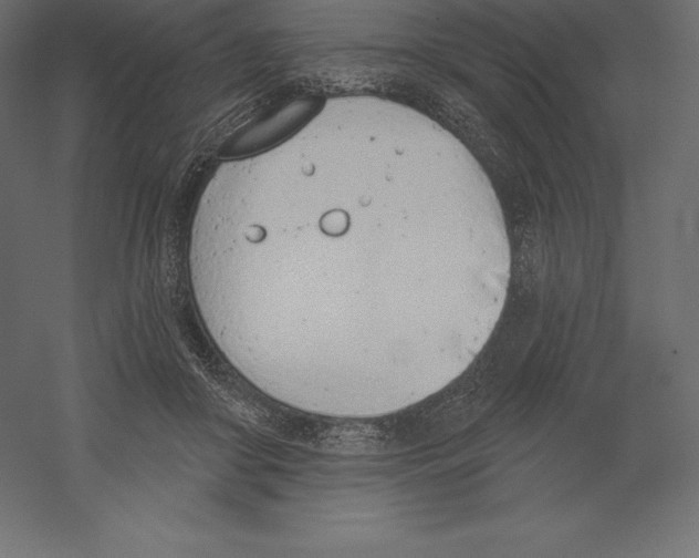 X0000060270410200511241500