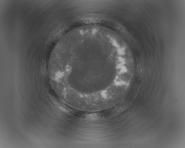 X0000060270411200511241500