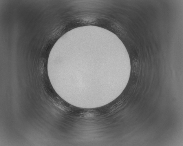 X0000060270412200511241500