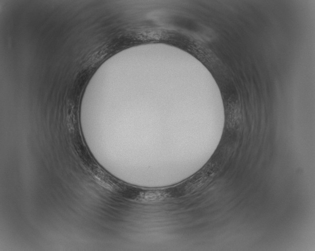 X0000060270414200511241459