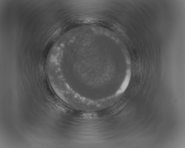 X0000060270415200511241459