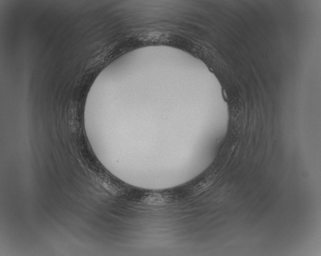 X0000060270416200511241459