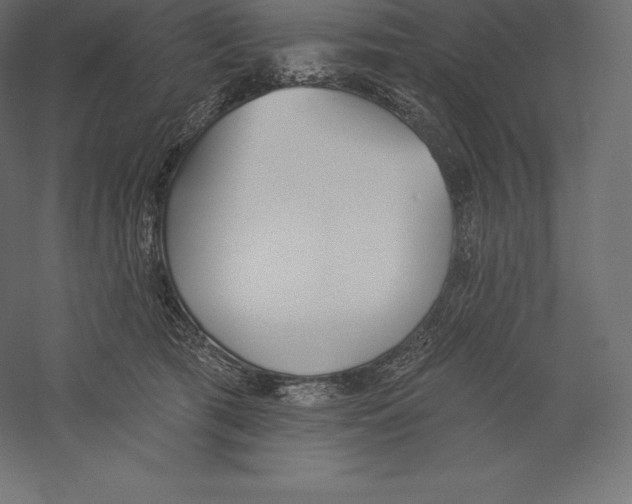 X0000060270417200511241459