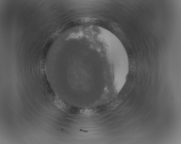 X0000060270419200511241459