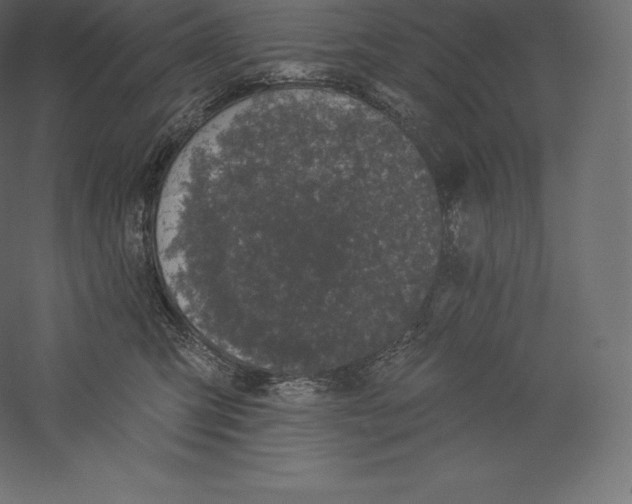 X0000060270423200511241459