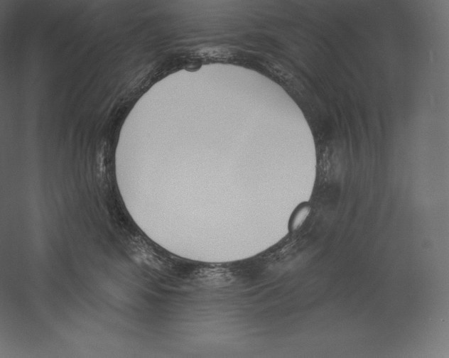 X0000060270424200511241459