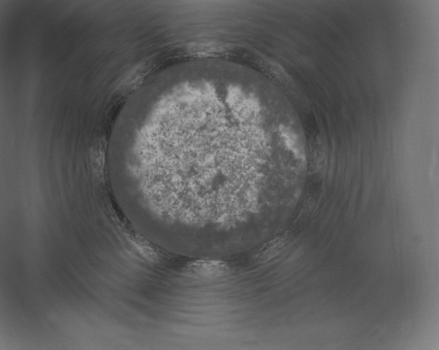 X0000060270427200511241459