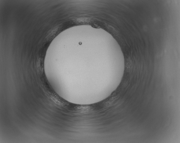 X0000060270428200511241459