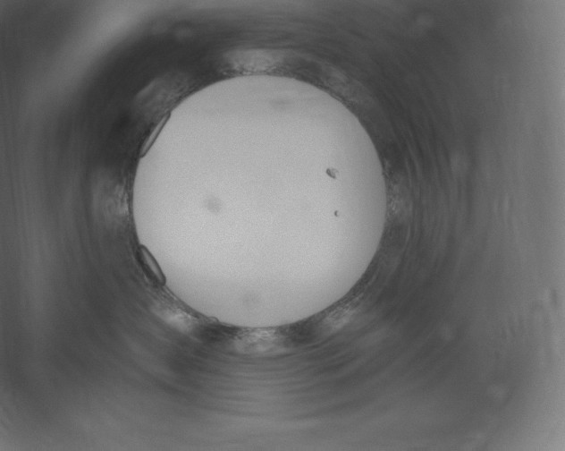 X0000060270431200511241459