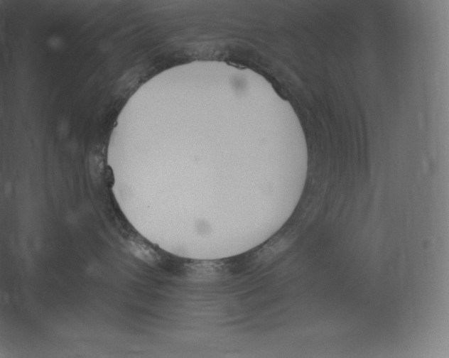 X0000060270432200511241459