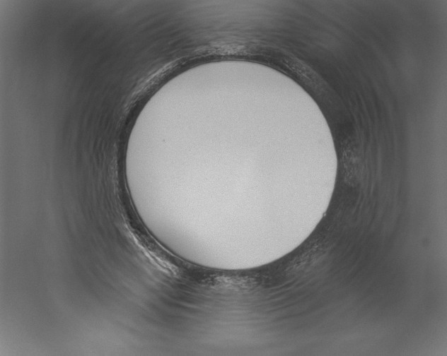 X0000060270442200511241459