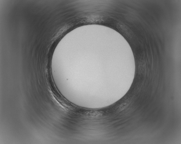 X0000060270443200511241459