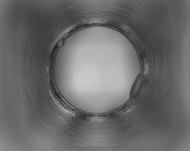 X0000060270444200511241459